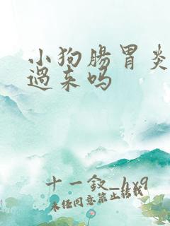 小狗肠胃炎能挺过来吗