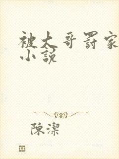 被大哥罚家法的小说