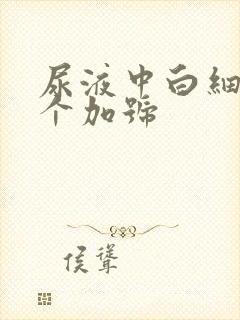 尿液中白细胞3个加号