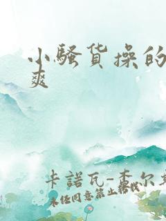 小骚货操的爽不爽