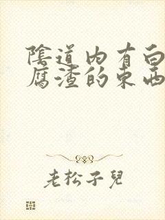 阴道内有白色豆腐渣的东西用什么药