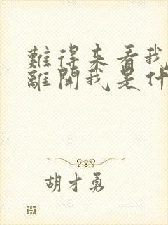 难得来看我却又离开我是什么歌