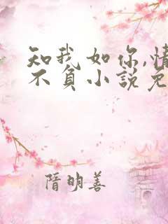 知我如你,情深不负小说免费阅读