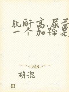 肌酐高,尿蛋白一个加号是什么原因