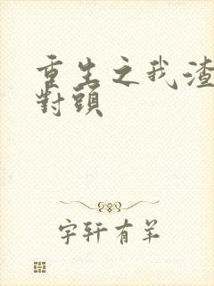 重生之我渣了死对头