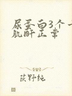 尿蛋白3个十号肌酐正常