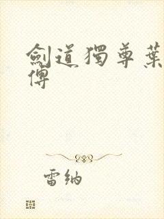 剑道独尊叶尘师傅