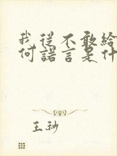 我从不敢给你任何诺言是什么歌