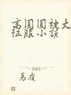 高圆圆被大肉楱征服小说