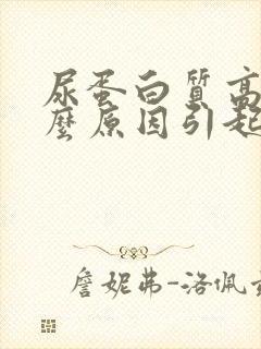 尿蛋白质高是什么原因引起的