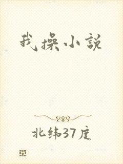 我操小说