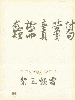 感谢辛苦付出简短而真实句子