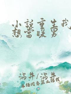 小说重生我真没想当暖男