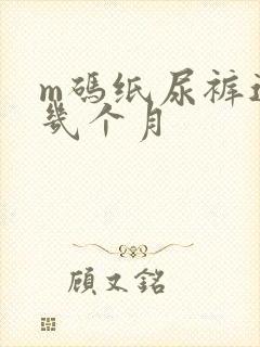 m码纸尿裤适合几个月