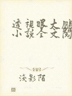 透视眼大鹏叶轩小说全文阅读