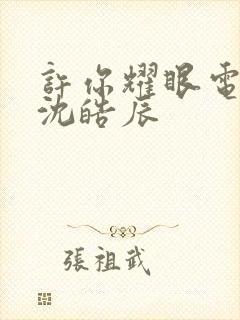 许你耀眼电视剧沈皓辰