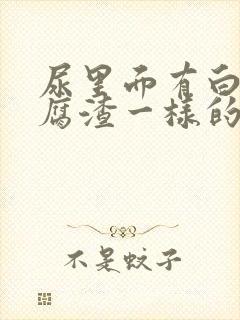 尿里面有白色豆腐渣一样的东西