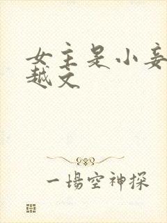 女主是小妾的穿越文