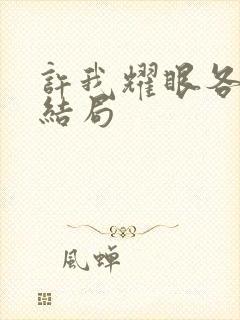 许我耀眼各人物结局