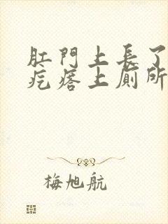 肛门上长了个肉疙瘩上厕所出血