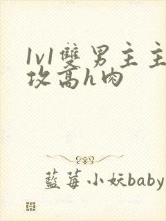 1v1双男主主攻高h肉