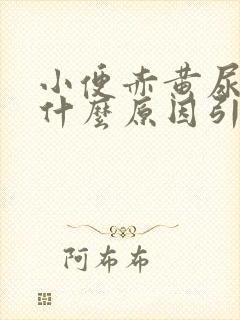 小便赤黄尿频是什么原因引起的