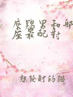 摩羯男和哪个星座最配对