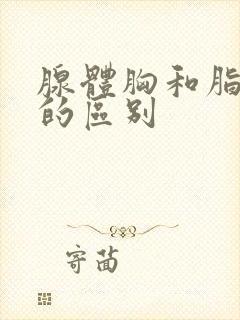 腺体胸和脂肪胸的区别