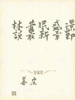 林昔眠盛璟承小说最新章节免费阅读