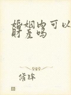 婚姻内可以分割财产吗