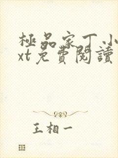 极品家丁小说txt免费阅读免费无广告