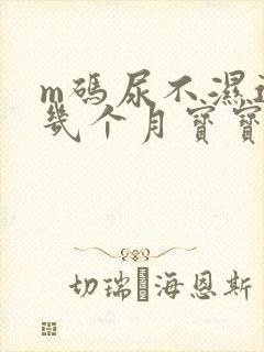 m码尿不湿适合几个月宝宝用