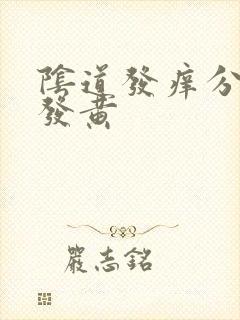 阴道发痒分泌物发黄