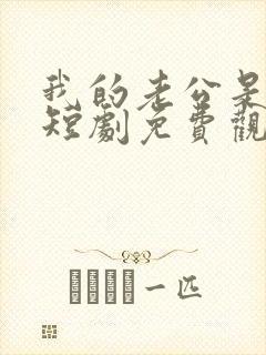 我的老公是豪门短剧免费观看全集