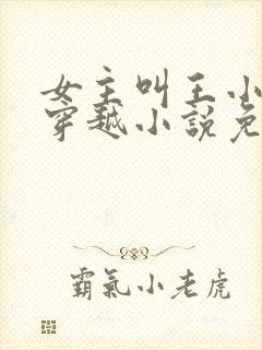 女主叫王小小的穿越小说免费阅读