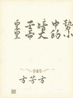 皇子暗中势力比皇帝大的小说