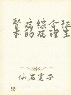 肾病综合征最根本的病理生理改变是