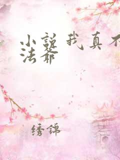 小说 我真不是法爷