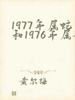 1977年属蛇和1976年属龙有姻缘吗