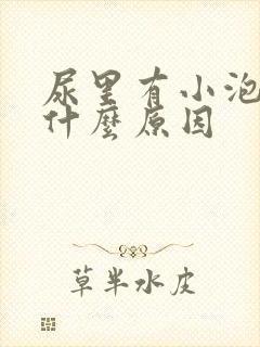 尿里有小泡泡是什么原因