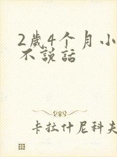 2岁4个月小孩不说话