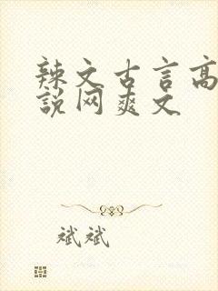 辣文古言高辣小说网爽文