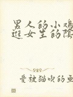 男人的小鸡鸡插进女生的阴道里