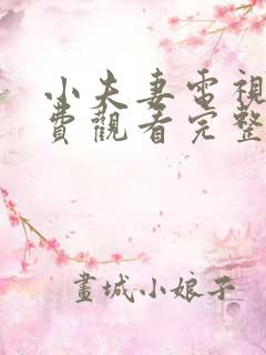 小夫妻电视剧免费观看完整版高清