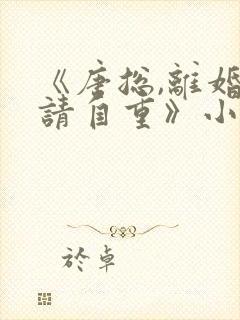 《唐总,离婚后请自重》小说