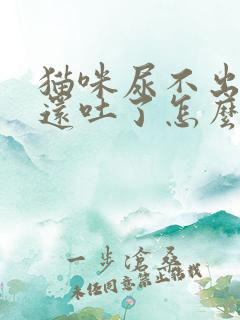 猫咪尿不出来尿还吐了怎么回事