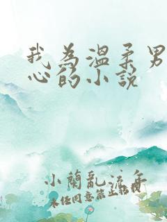 我为温柔男二操心的小说