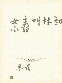 女主叫林初瑶的小说