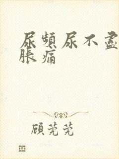 尿频尿不尽小腹胀痛