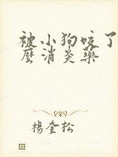 被小狗咬了吃什么消炎药